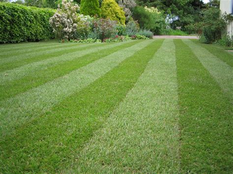 The Zen of Lawn Care: Turf Magic Techniques for Creating a Tranquil Oasis